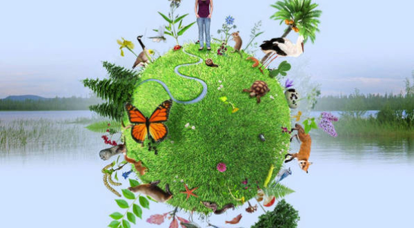 Visuel 1ère commission public - Biodiversitque