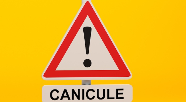 Visuel Alerte canicule