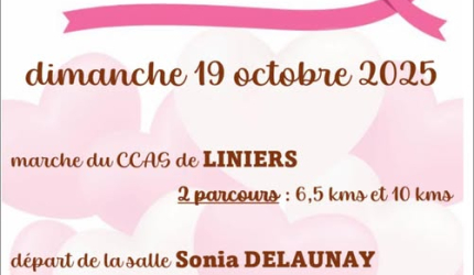 Visuel Octobre Rose 2025