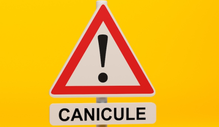 Visuel Alerte canicule