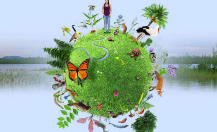 Visuel 1ère commission publique - Biodiversité