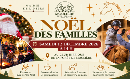 Visuel Noël des familles